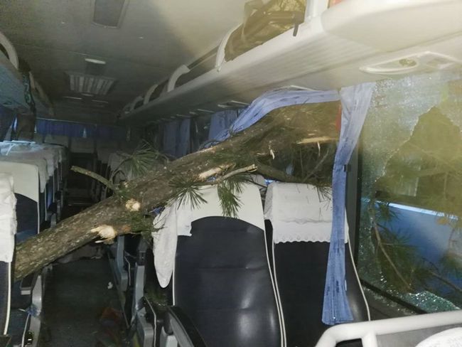 一個都不能少——國旅四川公司導遊董一平帶領遊客脫險側記（圖）