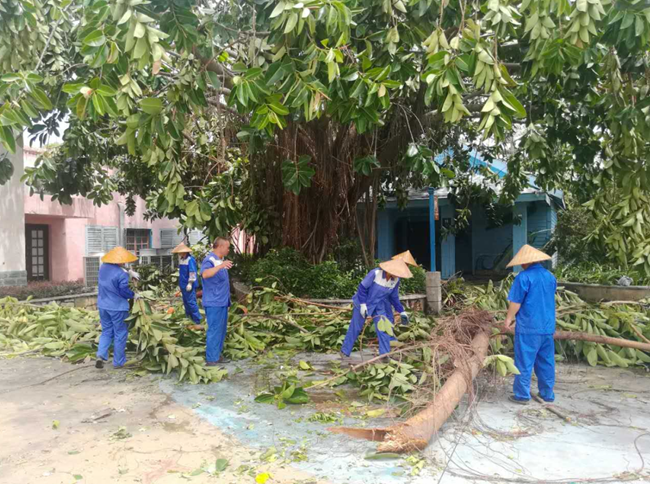 颱風「天鴿」來襲  集團企業(yè)及時行動防災救災（圖）